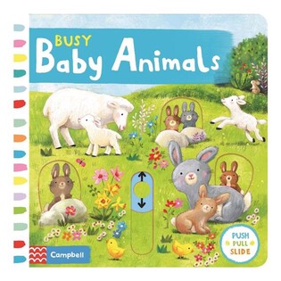 Busy Baby Animals - Pan Macmillan