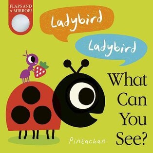 Ladybird! Ladybird! What Can You See? - Penguin Books