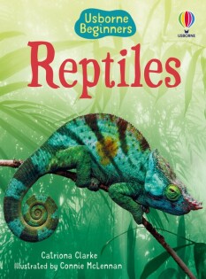 Reptiles - Usborne