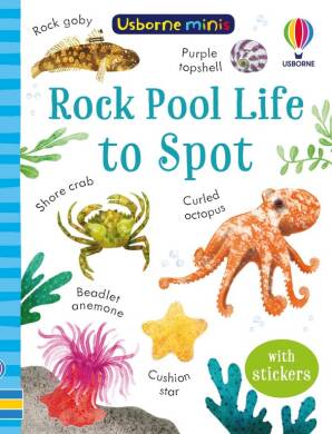 Rock Pool Life to Spot - 1