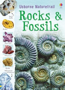 Rocks and Fossils - Usborne