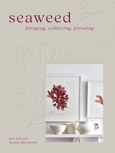 Seaweed Plc - Harper Collins