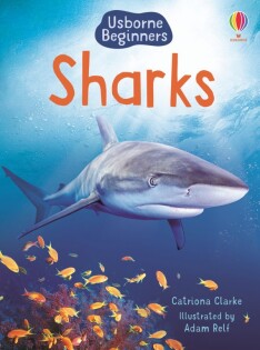 Sharks - Usborne