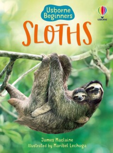 Sloths - Usborne