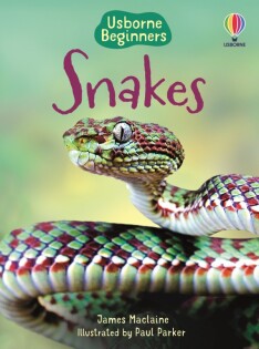 Snakes - Usborne