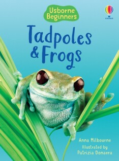 Tadpoles and Frogs - Usborne