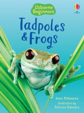 Tadpoles and Frogs - 1