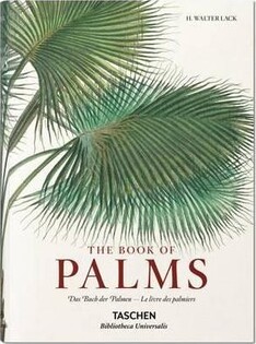 Bu Martius,Book Of Palms - 1