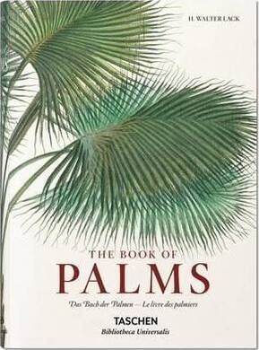 Bu Martius,Book Of Palms - 1