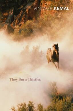 They Burn Thistles (Ya?ar Kemal) - 2