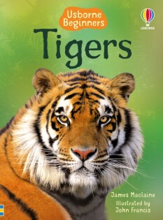 Tigers - Usborne