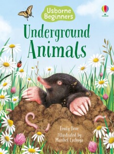 Underground Animals - Usborne