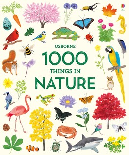 1000 Things In Nature - Usborne