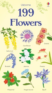 199 Flowers - Usborne