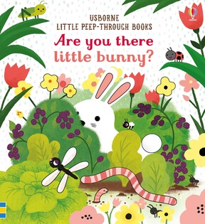 Are You There Little Bunny? - Usborne