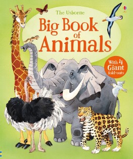 Big Book Of Animals - Usborne