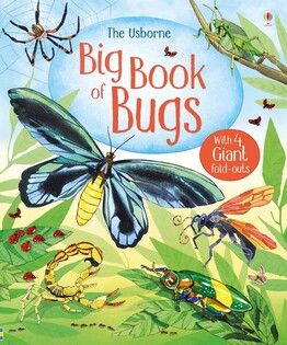 Big Book Of Bugs - Usborne