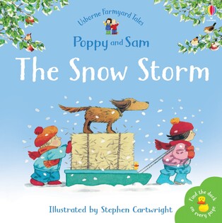 FYT The Snow Storm - Usborne