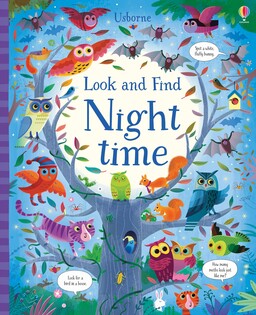 Look And Find Night Time - Usborne