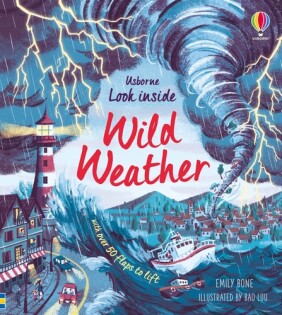 Look Inside Wild Weather - Usborne