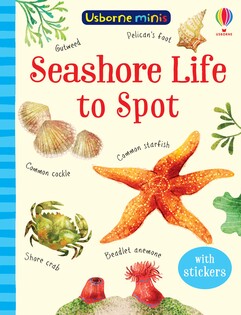 Minis Seashore Life To Spot - Usborne