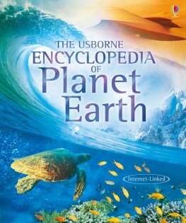 Usborne Encyclopedia of Planet Earth - Usborne