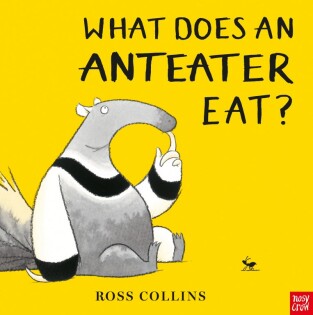 What Does An Anteater Eat? - Nosy Crow