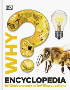 Why? Encyclopedia - Dorling Kindersley