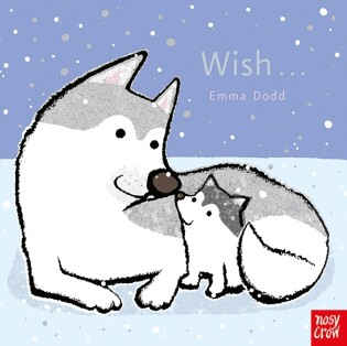 Wish - Nosy Crow